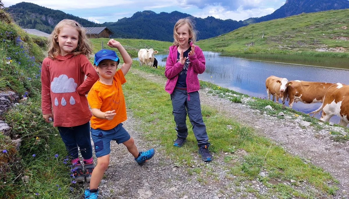 Prostalm | © Melanie Braun