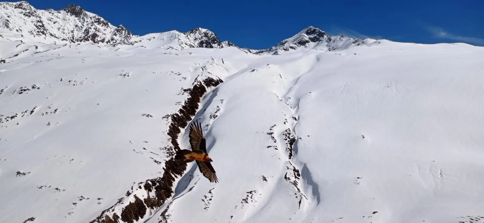 © Thomas Schmidmeier