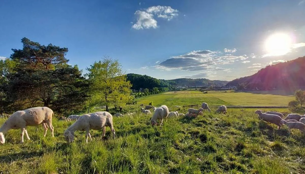 Konstein | © Heidi Ringlstetter