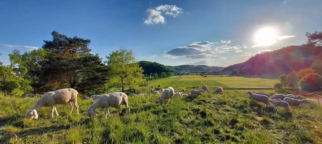 Konstein | © Heidi Ringlstetter