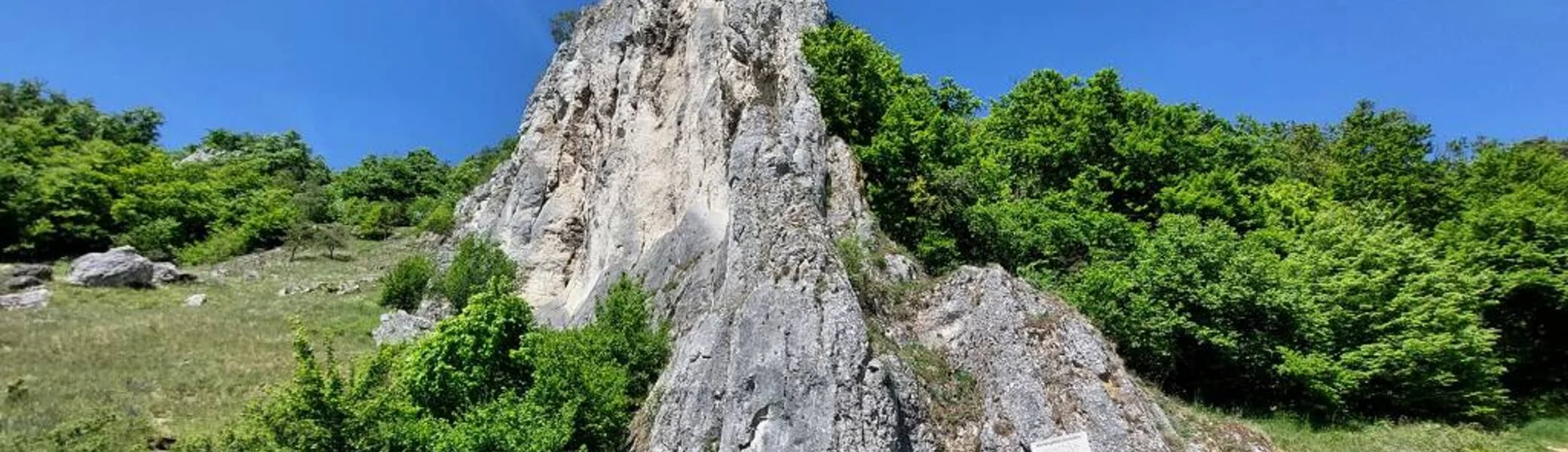 Dohlenfels | © Heidi Ringlstetter