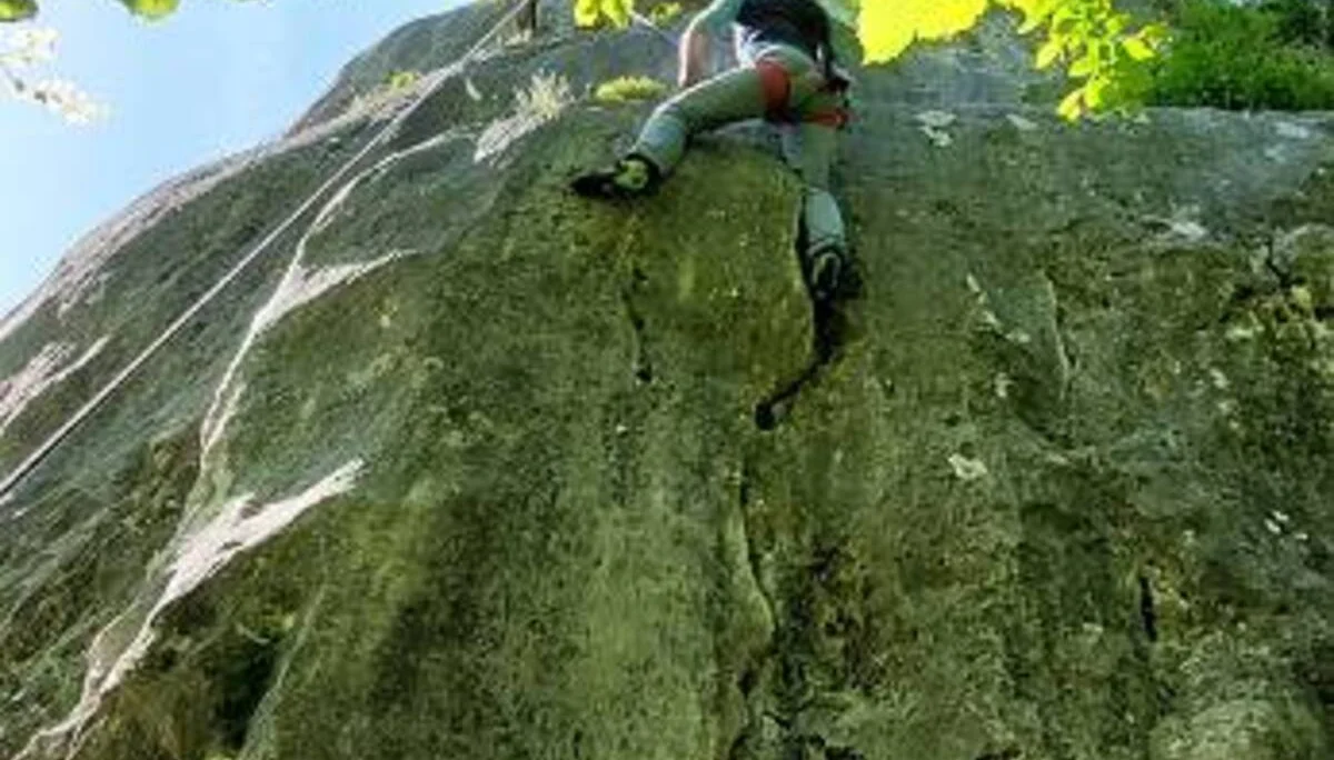 © Heidi Ringlstetter