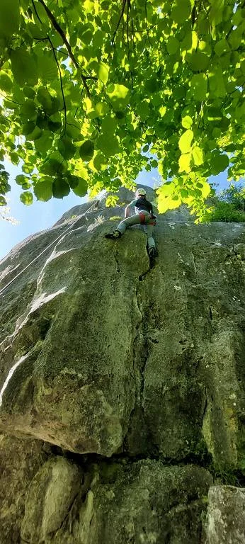 © Heidi Ringlstetter