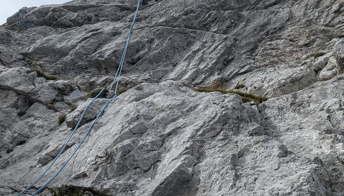 © Thomas Schmidmeier