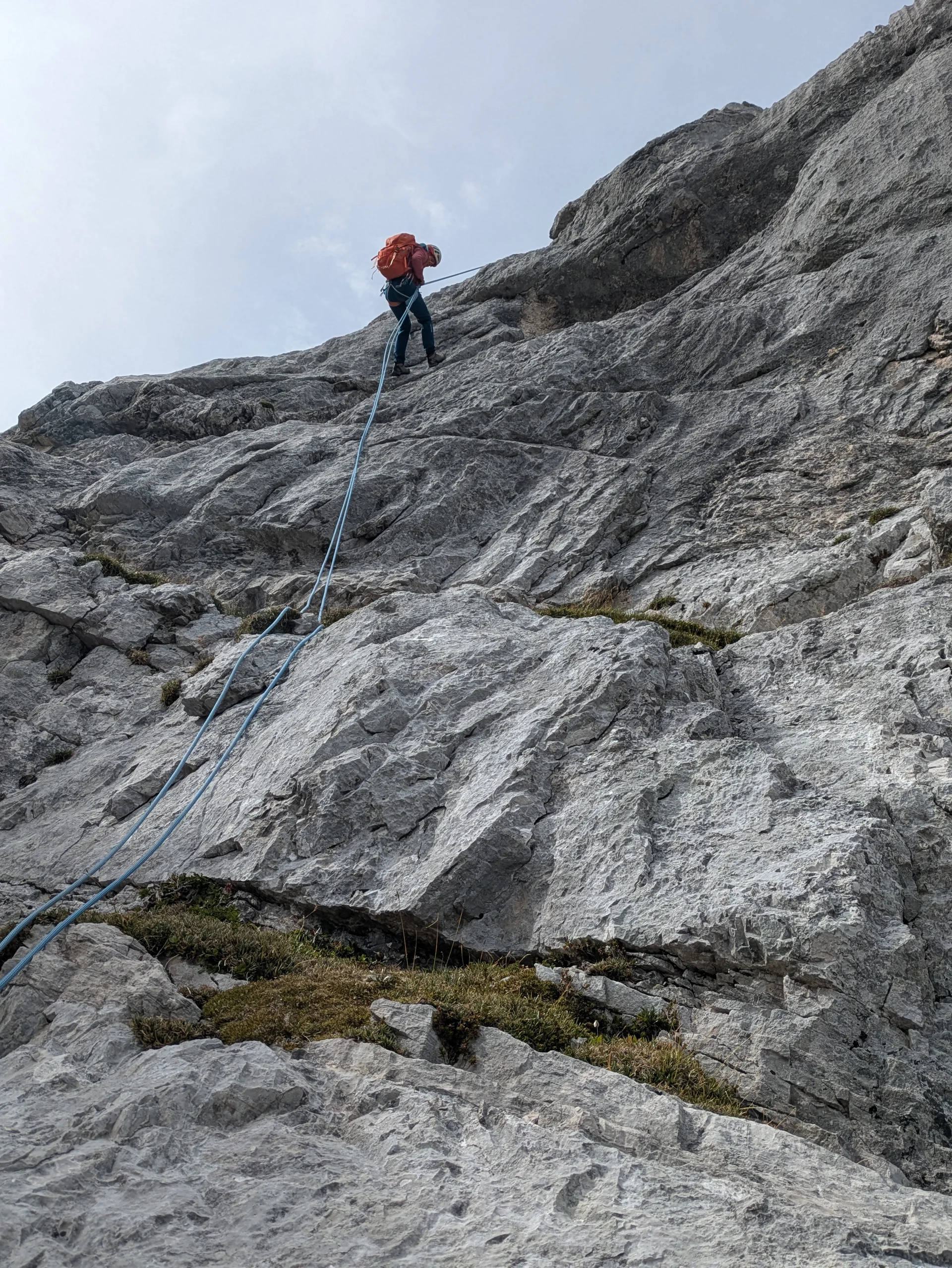 © Thomas Schmidmeier