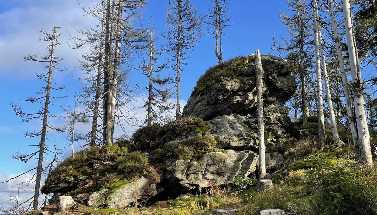 Felsen im Arberland | © Andreas Ploessl