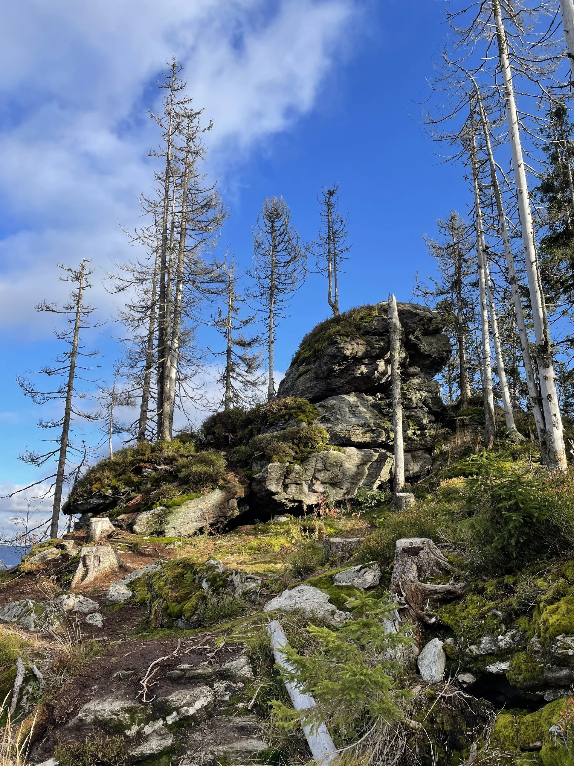 Felsen im Arberland | © Andreas Ploessl