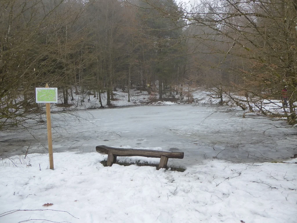 Unterlichtenwald | © DAV Regensburg Seniorengruppe