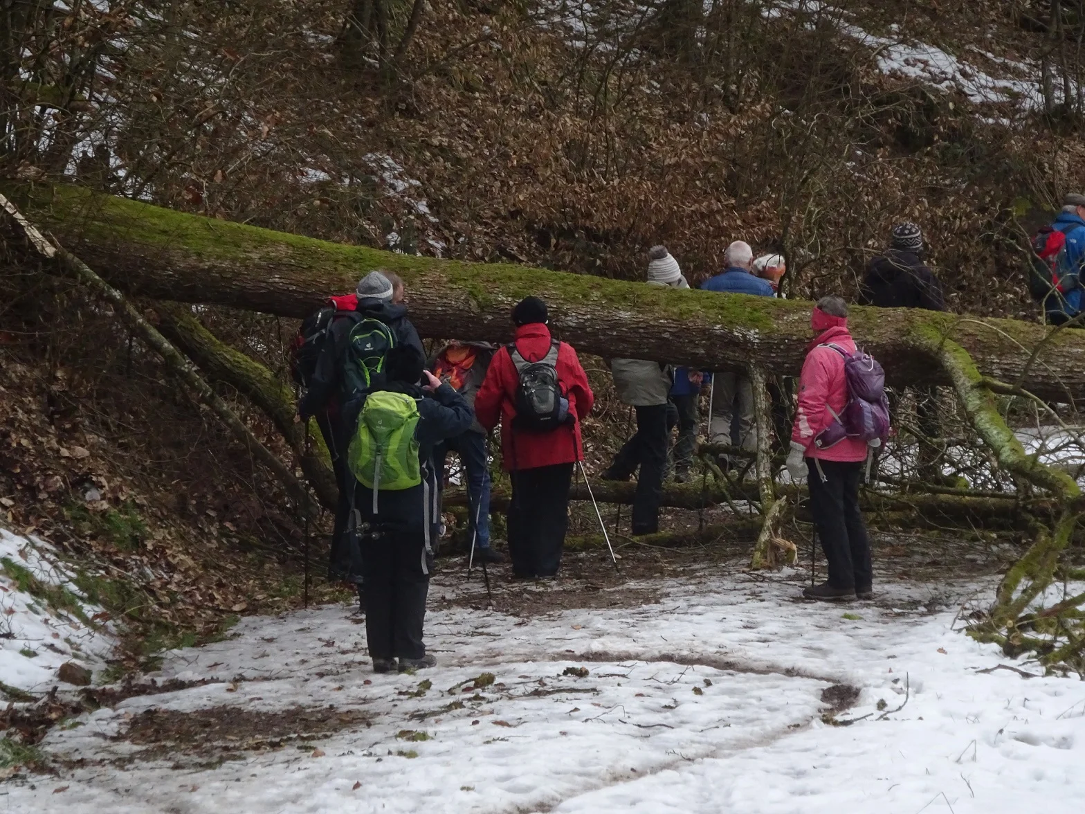 Unterlichtenwald | © DAV Regensburg Seniorengruppe