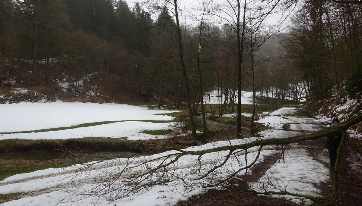 Unterlichtenwald | © DAV Regensburg Seniorengruppe