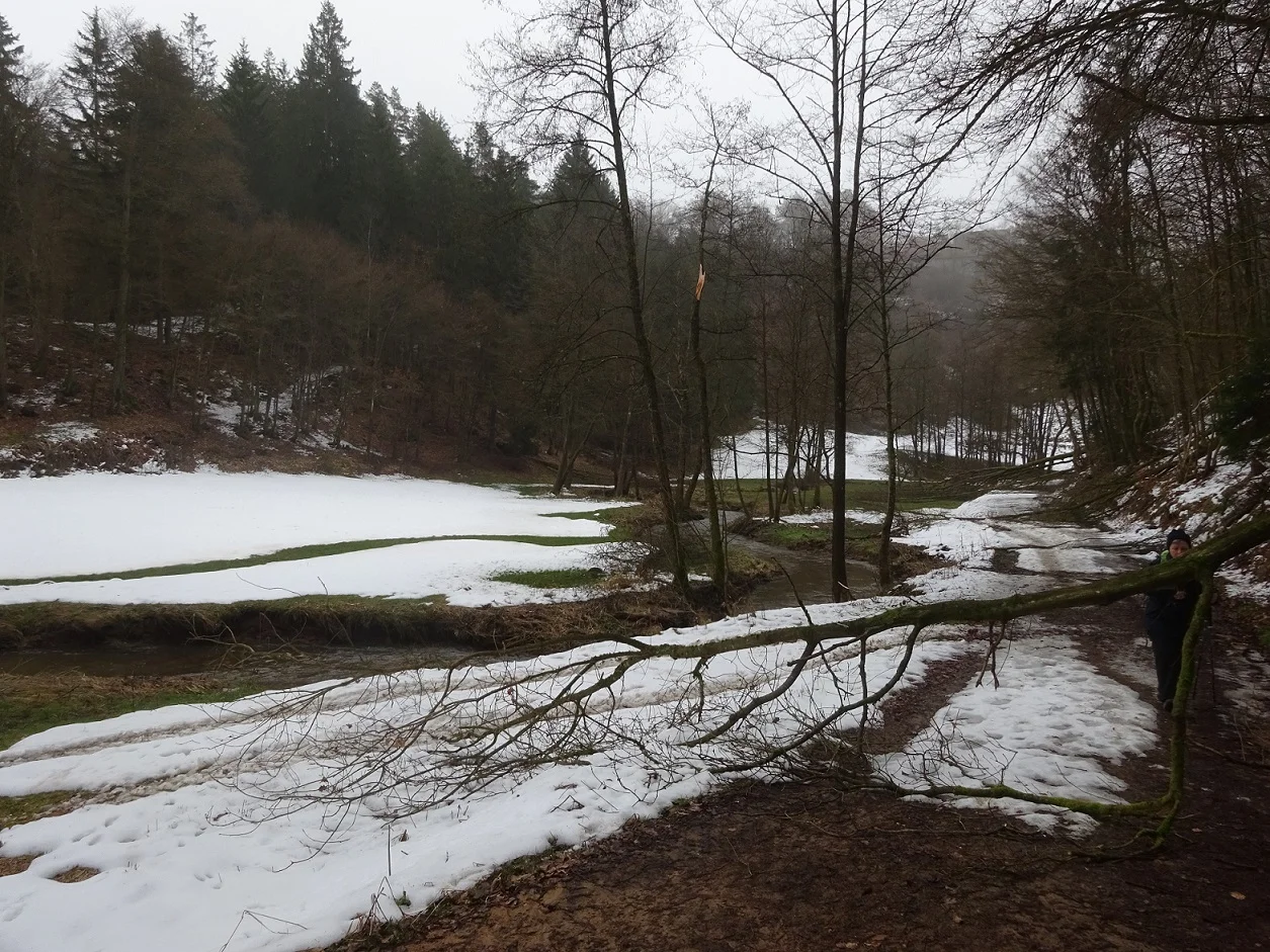 Unterlichtenwald | © DAV Regensburg Seniorengruppe