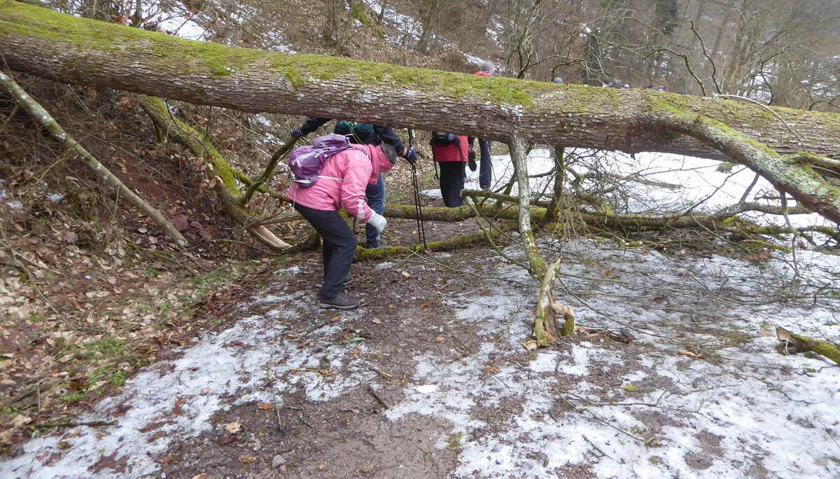 Unterlichtenwald | © DAV Regensburg Seniorengruppe