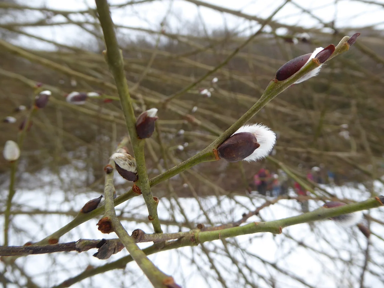 Unterlichtenwald | © DAV Regensburg Seniorengruppe