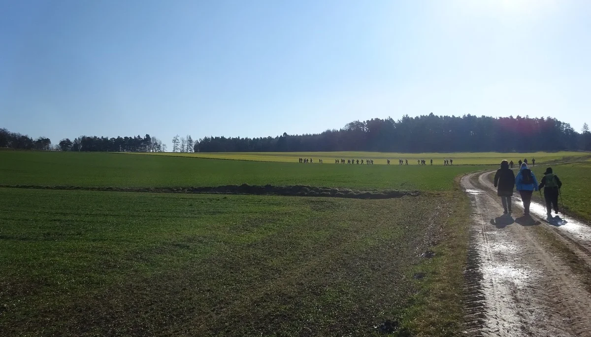 Auf dem Donaupanoramaweg nach Kapfelberg. | © DAV Regensburg Seniorengruppe