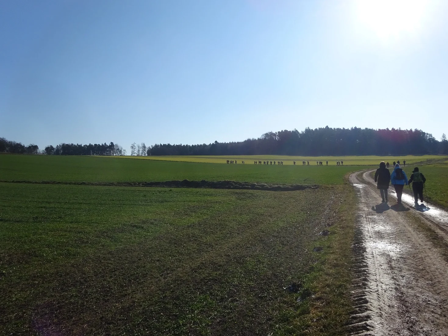 Auf dem Donaupanoramaweg nach Kapfelberg. | © DAV Regensburg Seniorengruppe