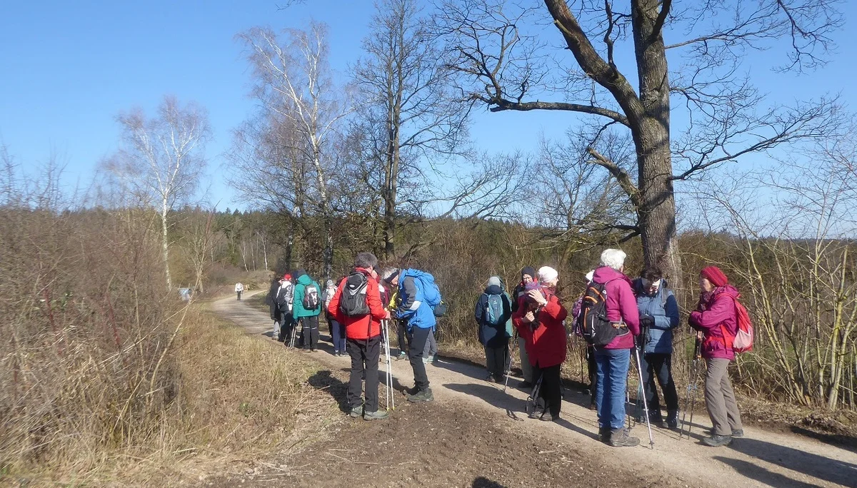 Auf dem Donaupanoramaweg nach Kapfelberg. | © DAV Regensburg Seniorengruppe