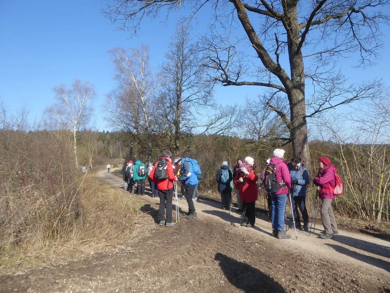 Auf dem Donaupanoramaweg nach Kapfelberg. | © DAV Regensburg Seniorengruppe