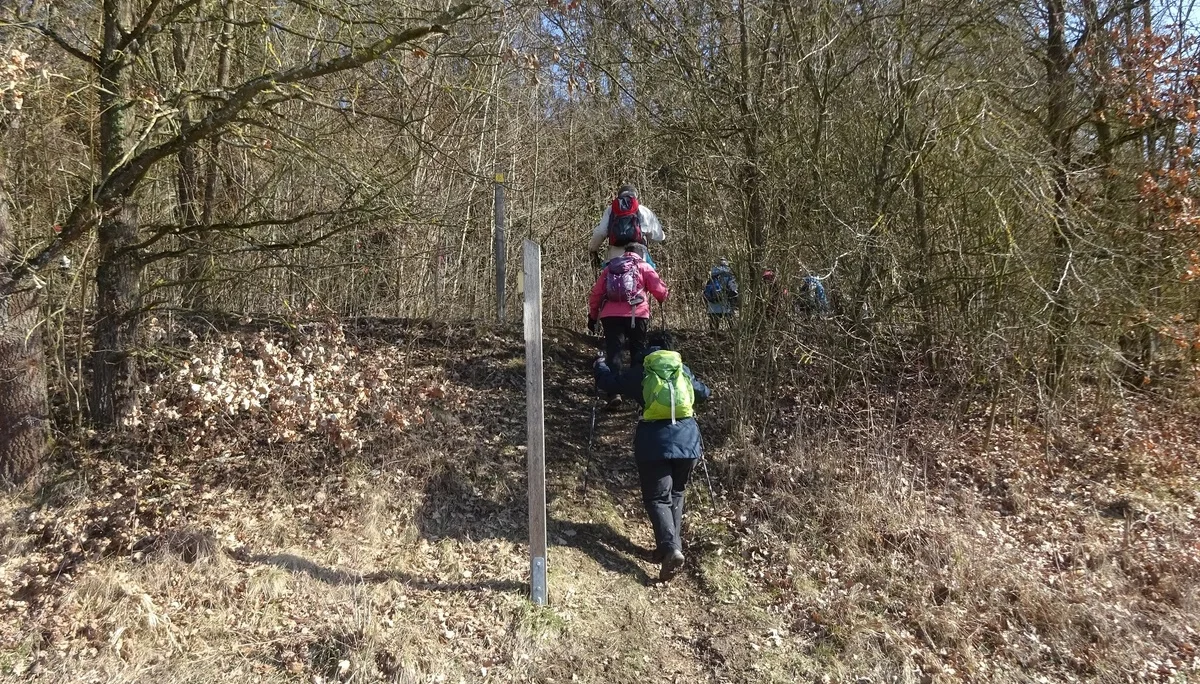 Auf dem Donaupanoramaweg nach Kapfelberg. | © DAV Regensburg Seniorengruppe