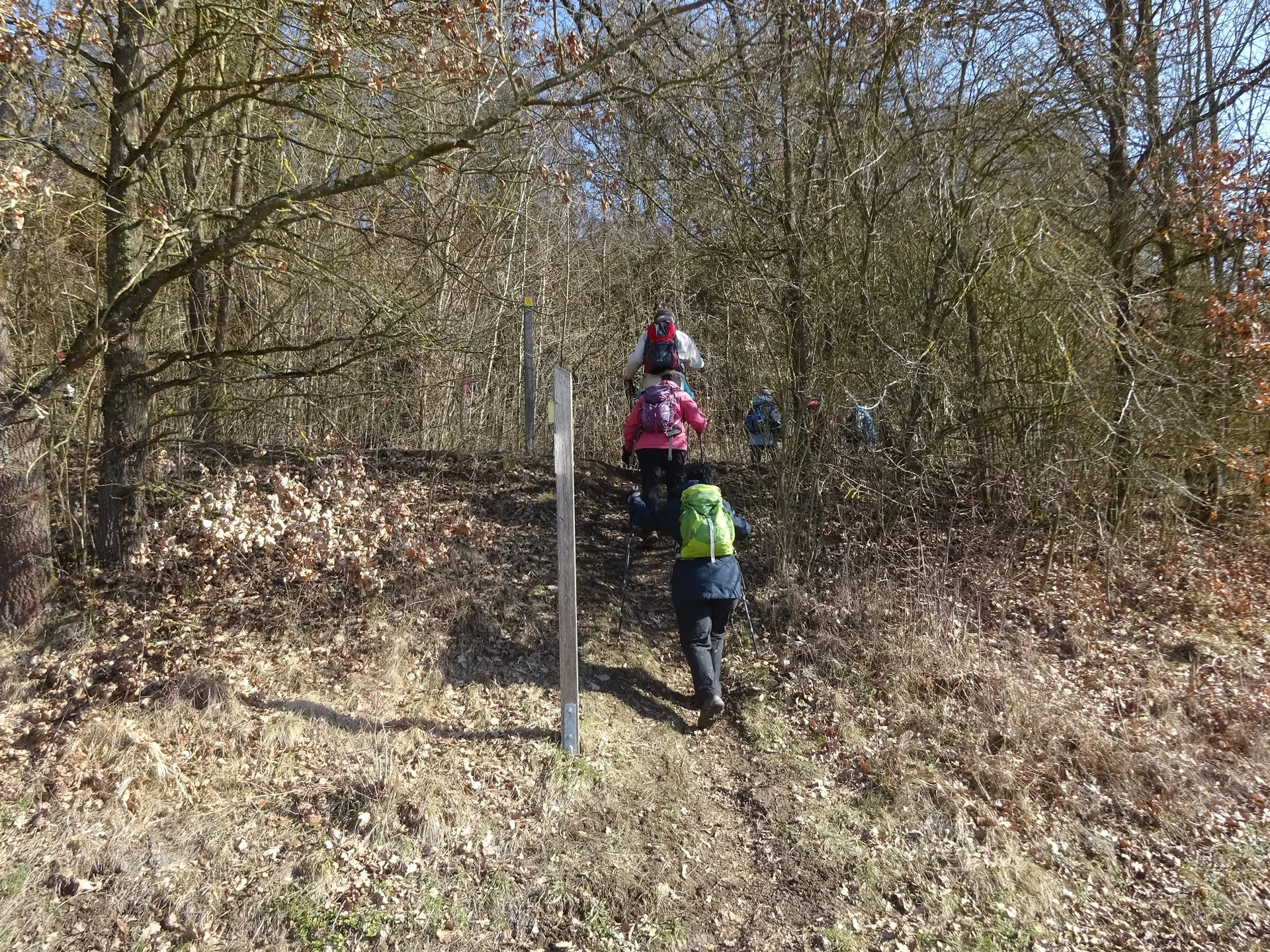 Auf dem Donaupanoramaweg nach Kapfelberg. | © DAV Regensburg Seniorengruppe