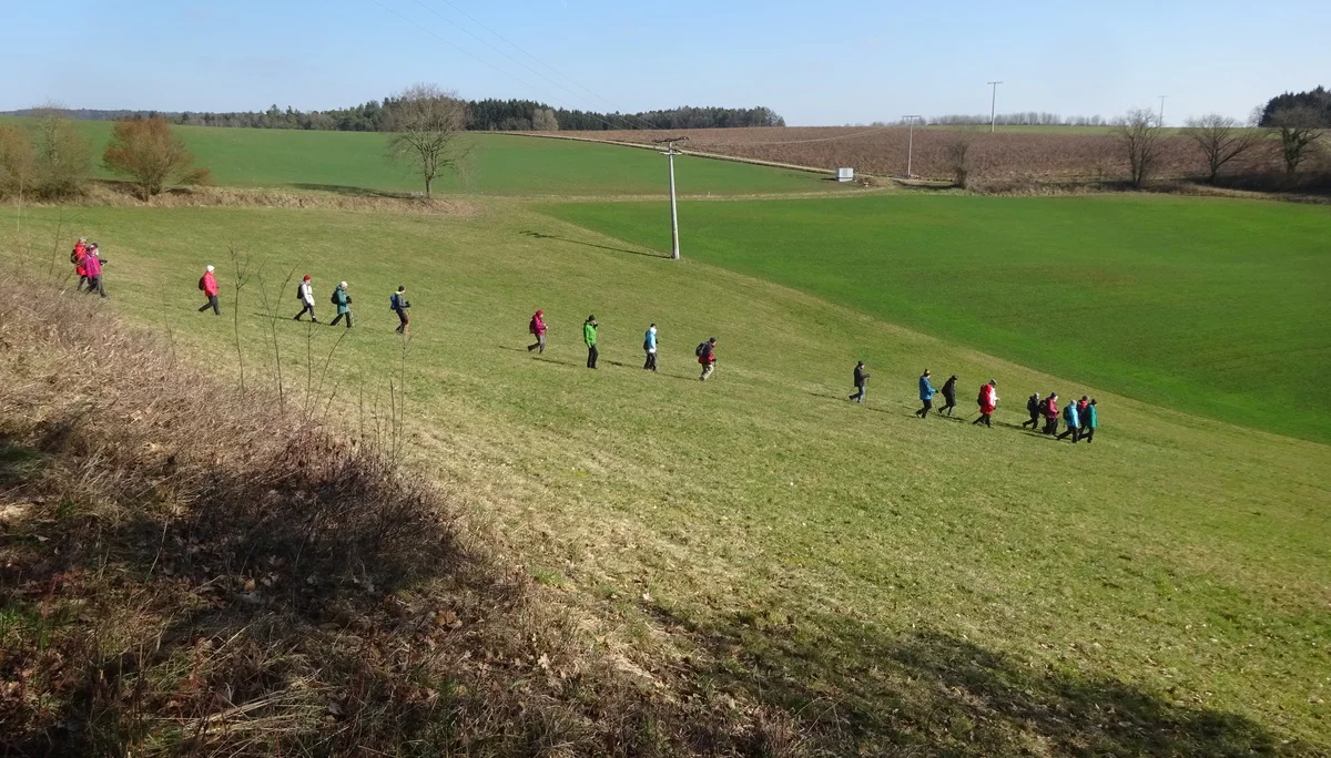 Auf dem Donaupanoramaweg nach Kapfelberg. | © DAV Regensburg Seniorengruppe