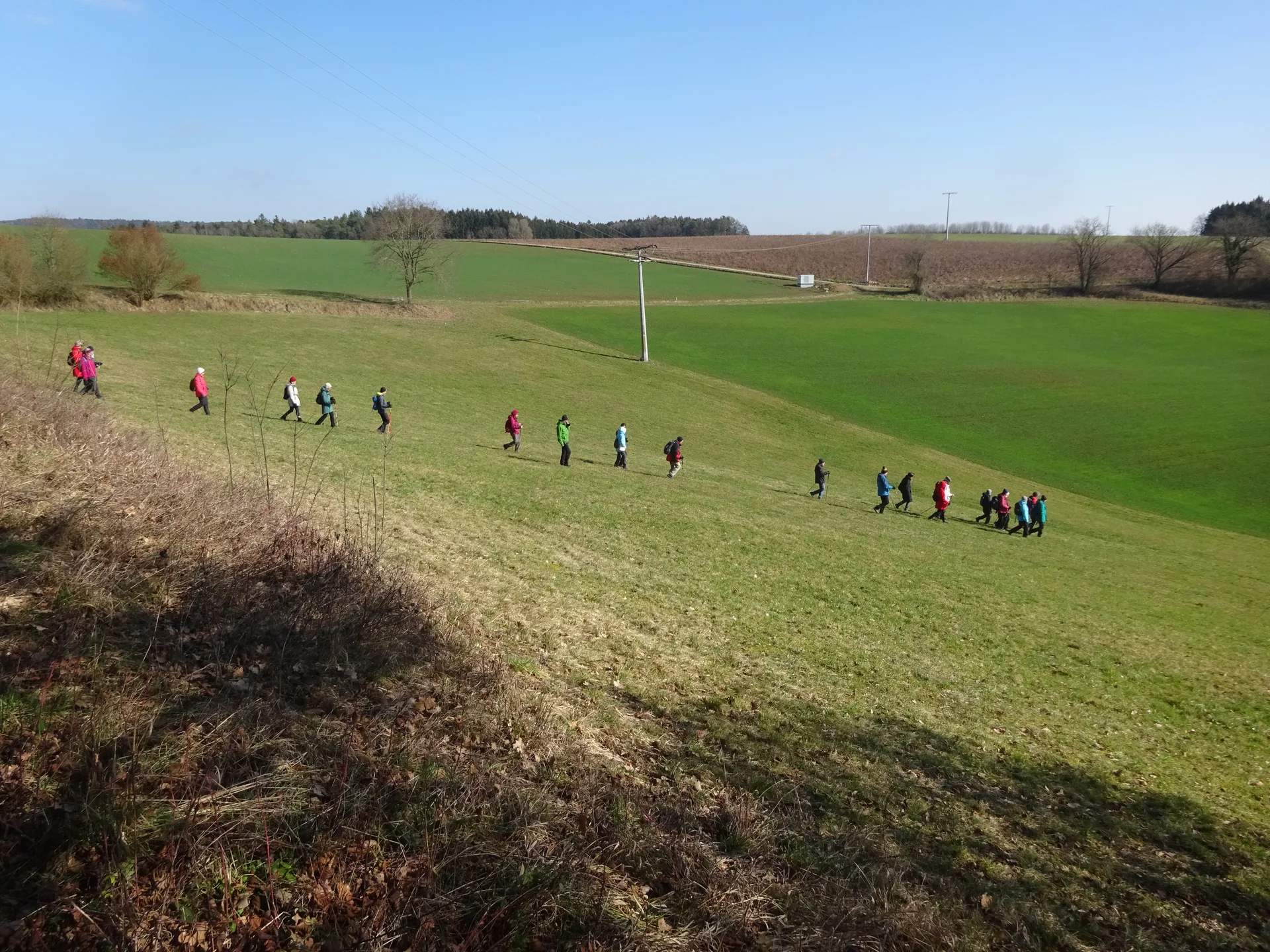 Auf dem Donaupanoramaweg nach Kapfelberg. | © DAV Regensburg Seniorengruppe