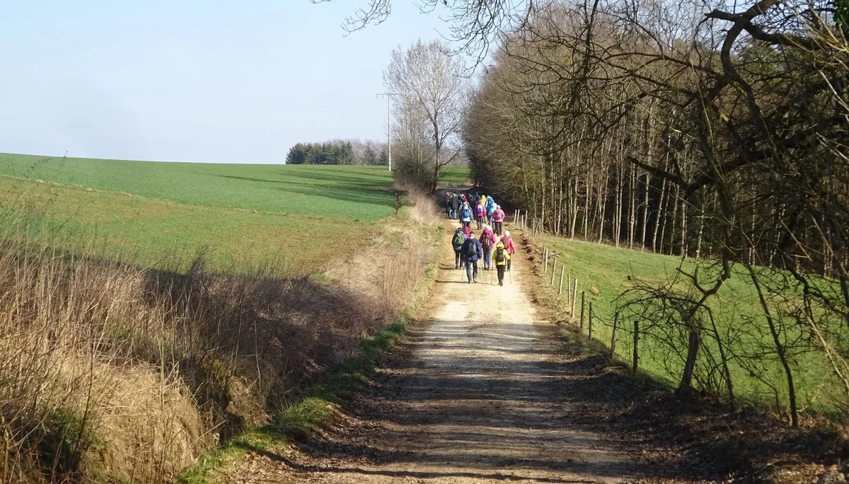 Auf dem Donaupanoramaweg nach Kapfelberg. | © DAV Regensburg Seniorengruppe
