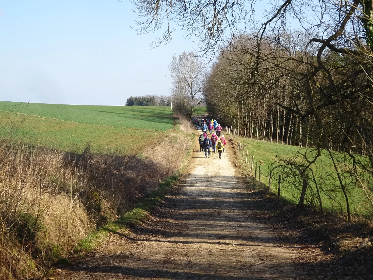 Auf dem Donaupanoramaweg nach Kapfelberg. | © DAV Regensburg Seniorengruppe