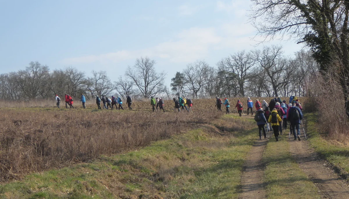 Auf dem Donaupanoramaweg nach Kapfelberg. | © DAV Regensburg Seniorengruppe