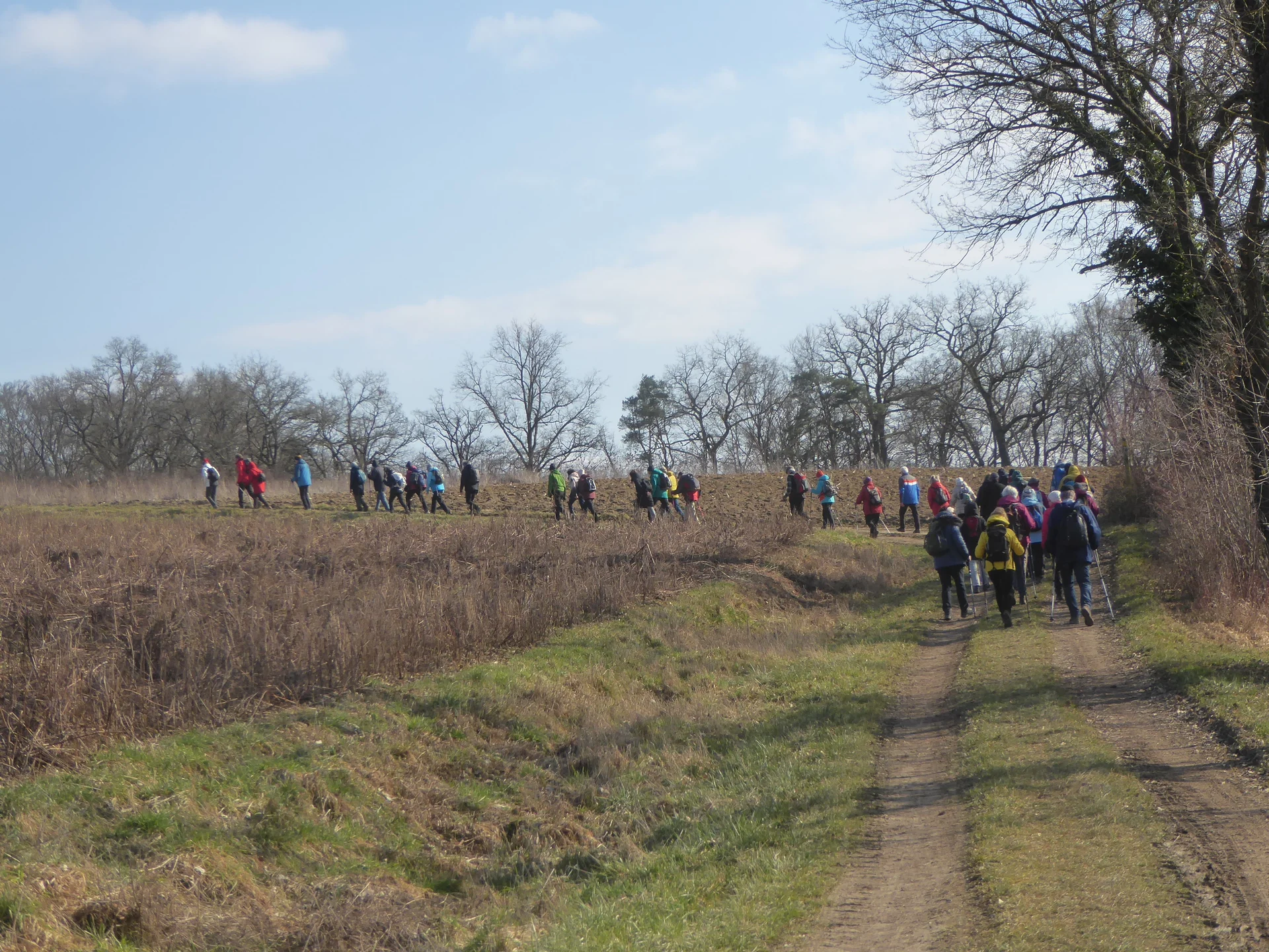Auf dem Donaupanoramaweg nach Kapfelberg. | © DAV Regensburg Seniorengruppe