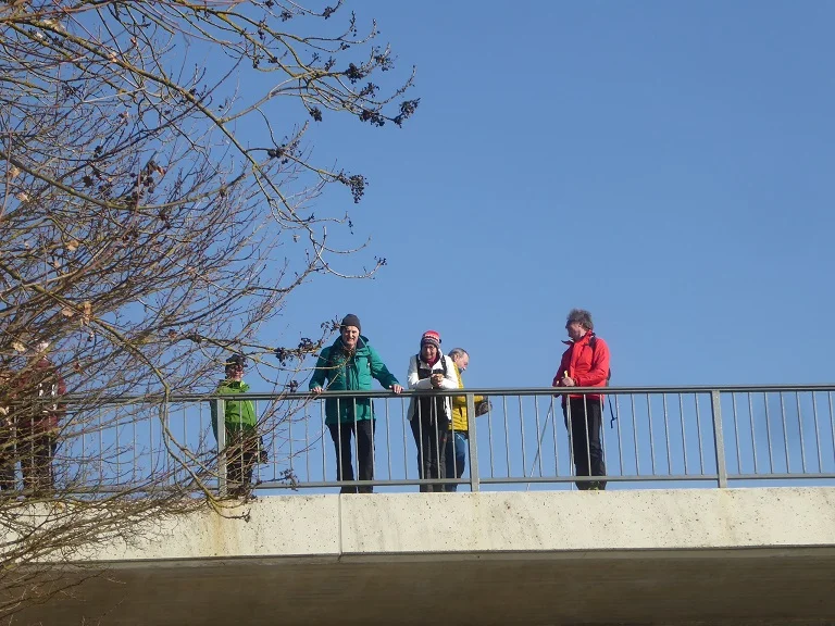 Auf dem Donaupanoramaweg nach Kapfelberg. | © DAV Regensburg Seniorengruppe