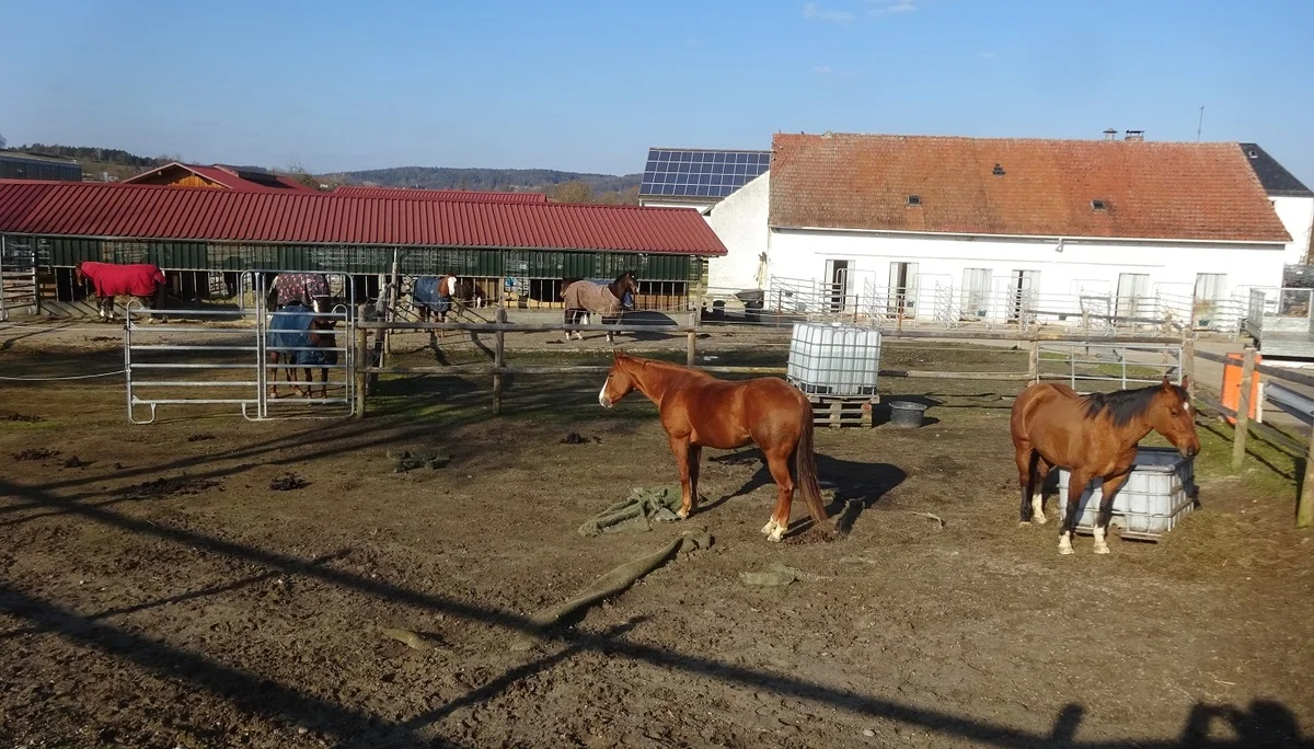Auf dem Donaupanoramaweg nach Kapfelberg. | © DAV Regensburg Seniorengruppe