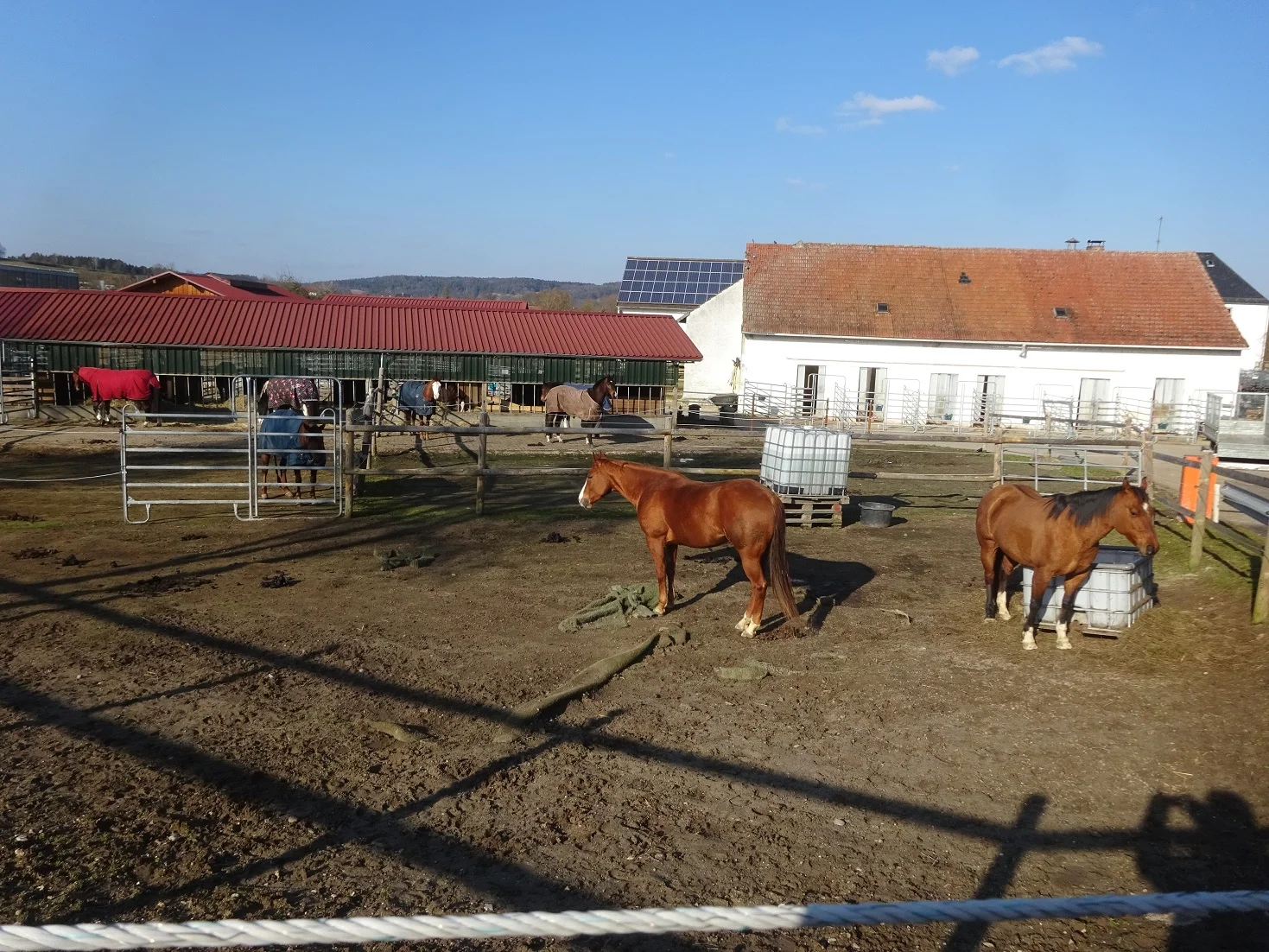 Auf dem Donaupanoramaweg nach Kapfelberg. | © DAV Regensburg Seniorengruppe