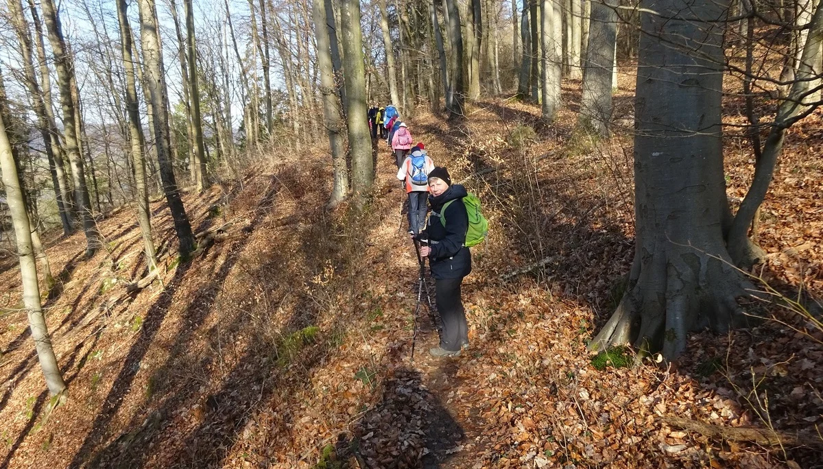 Auf dem Donaupanoramaweg nach Kapfelberg. | © DAV Regensburg Seniorengruppe