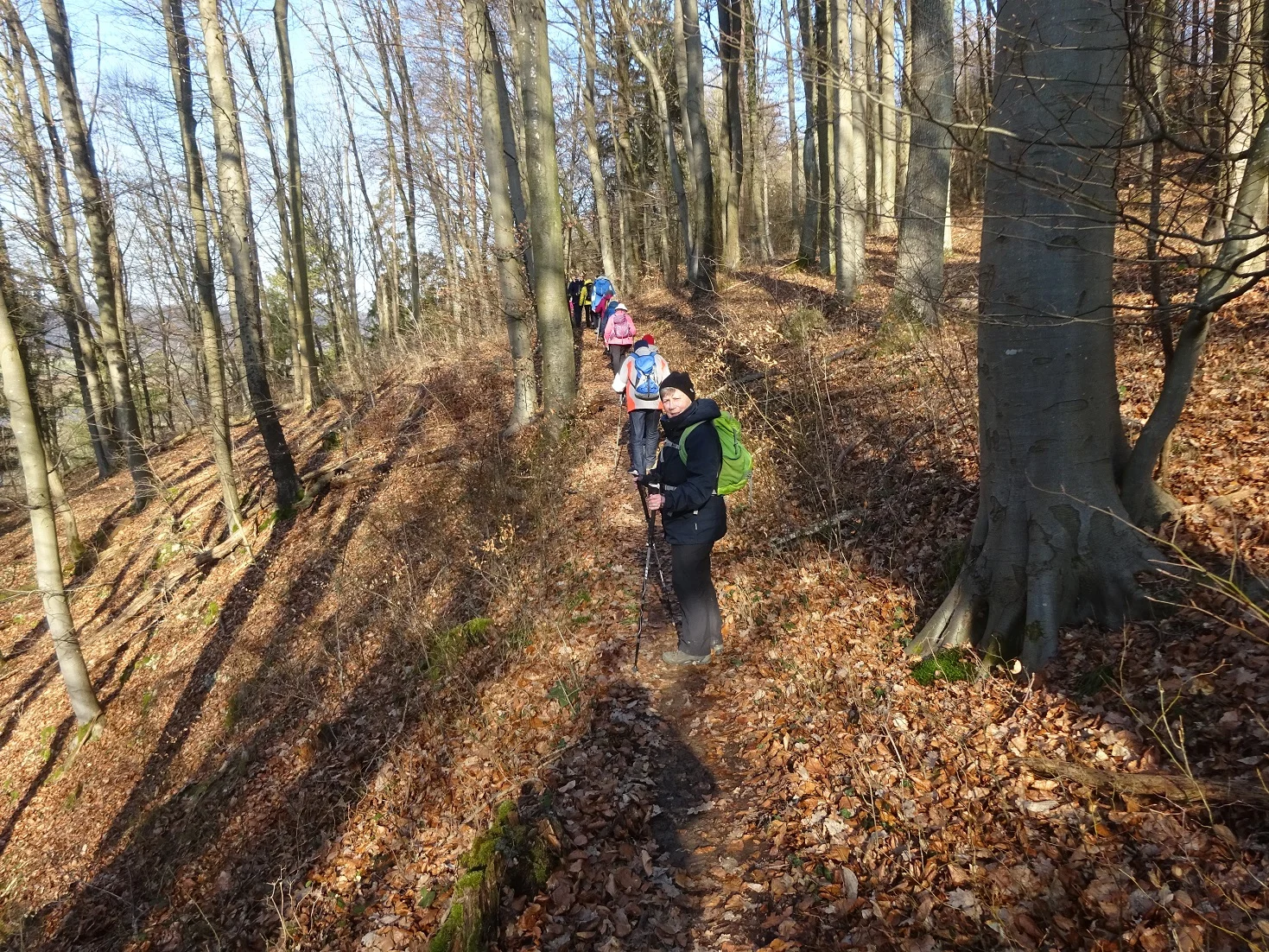Auf dem Donaupanoramaweg nach Kapfelberg. | © DAV Regensburg Seniorengruppe
