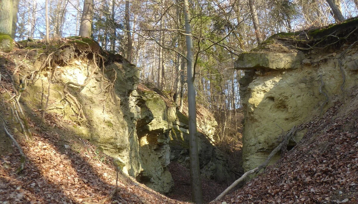Auf dem Donaupanoramaweg nach Kapfelberg. | © DAV Regensburg Seniorengruppe