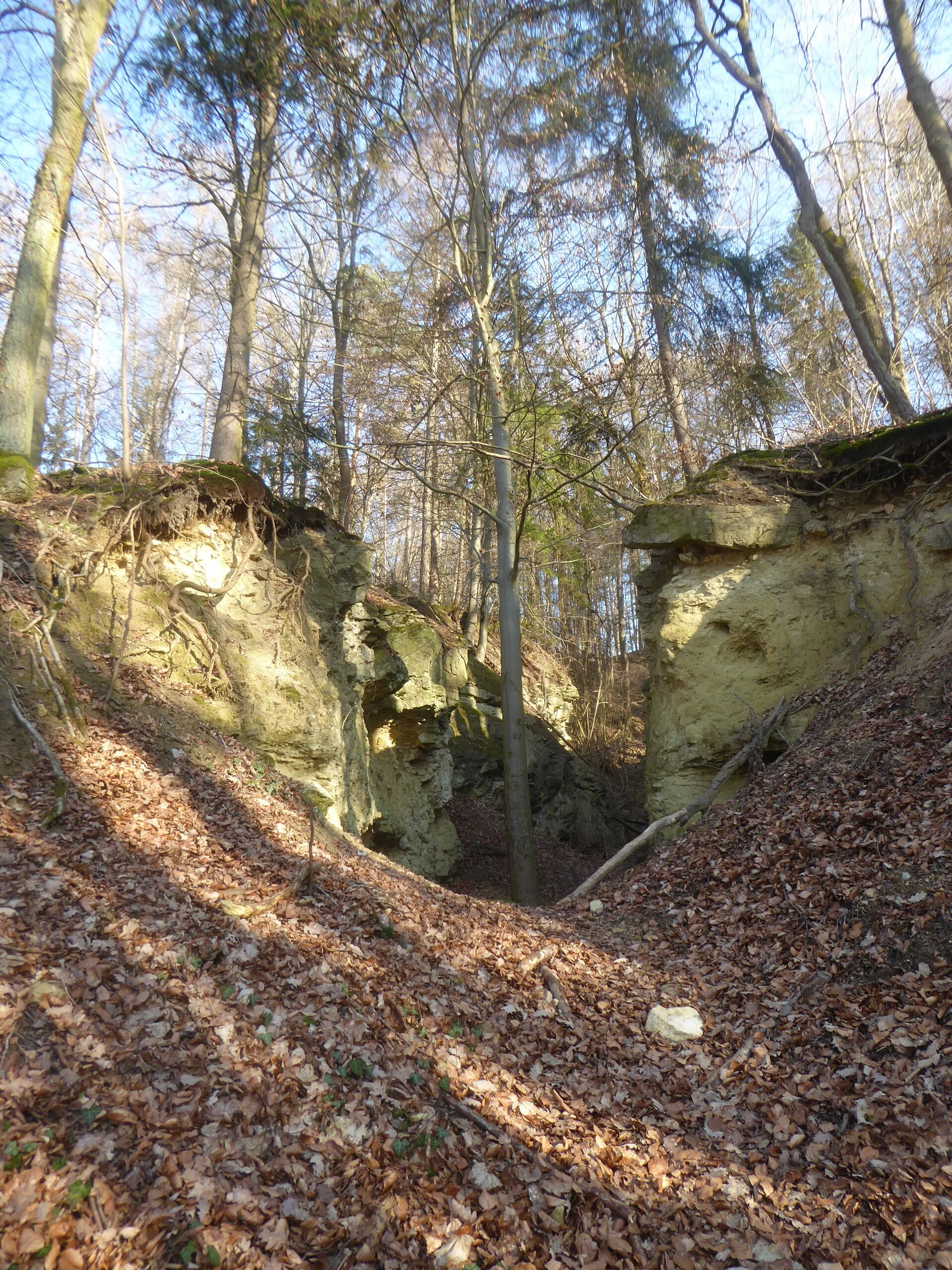 Auf dem Donaupanoramaweg nach Kapfelberg. | © DAV Regensburg Seniorengruppe
