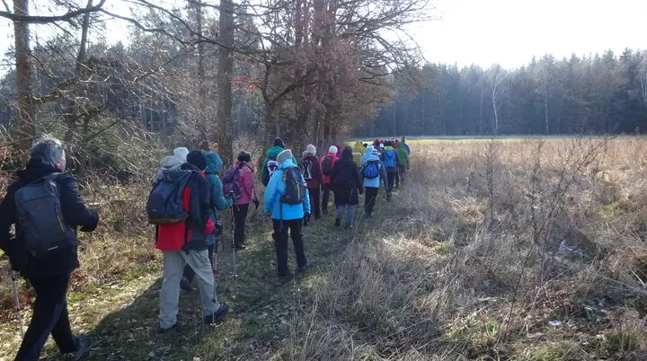 Auf dem Donaupanoramaweg nach Kapfelberg. | © DAV Regensburg Seniorengruppe