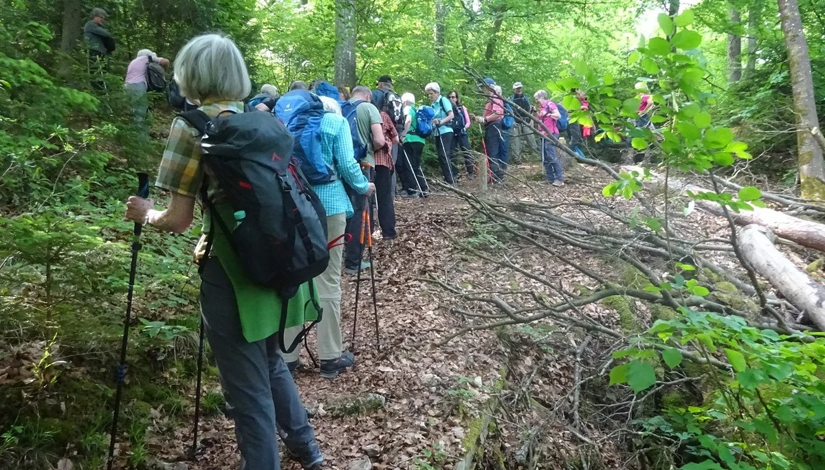 © Werner & Inge Fessel