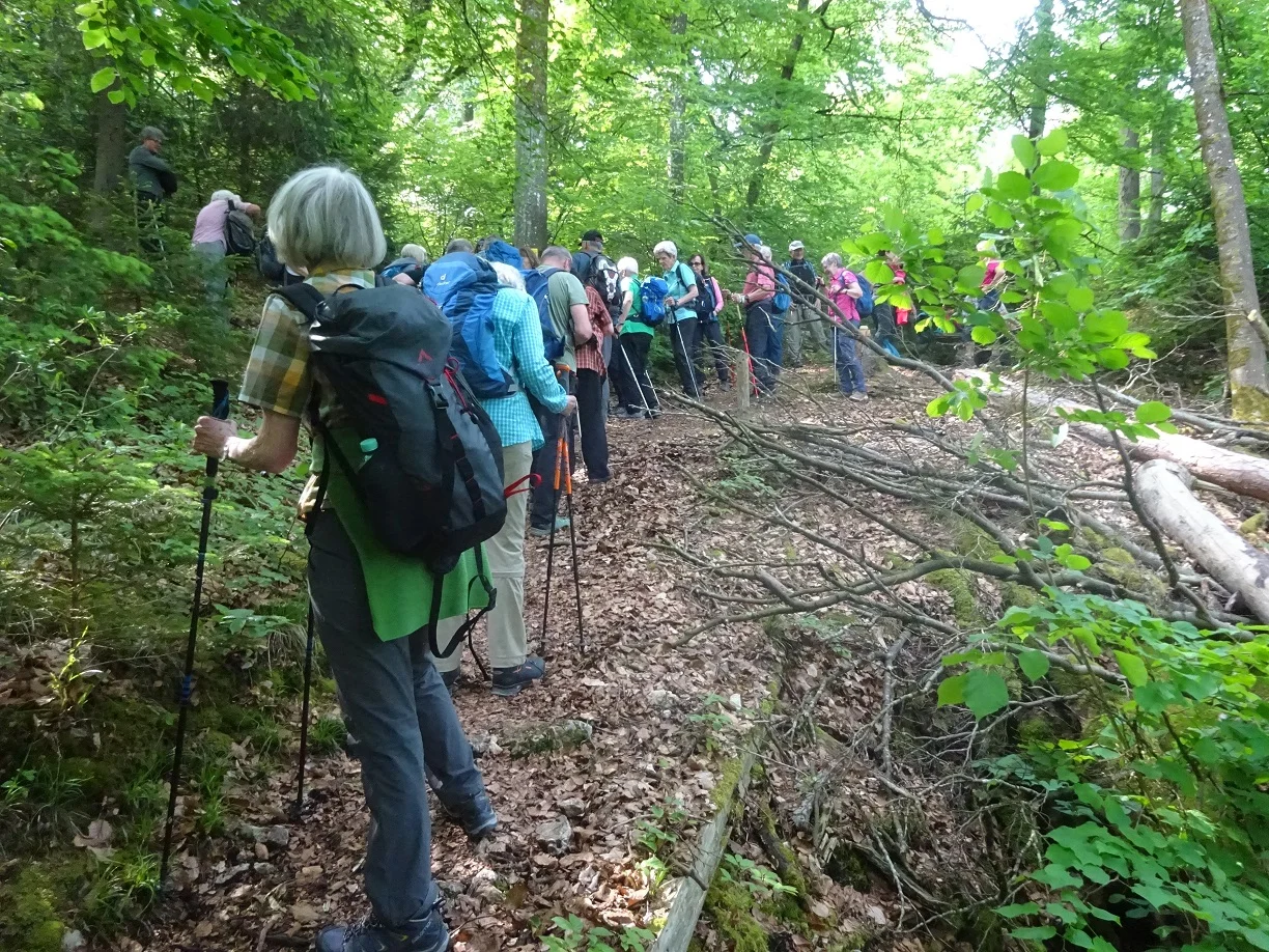 © Werner & Inge Fessel