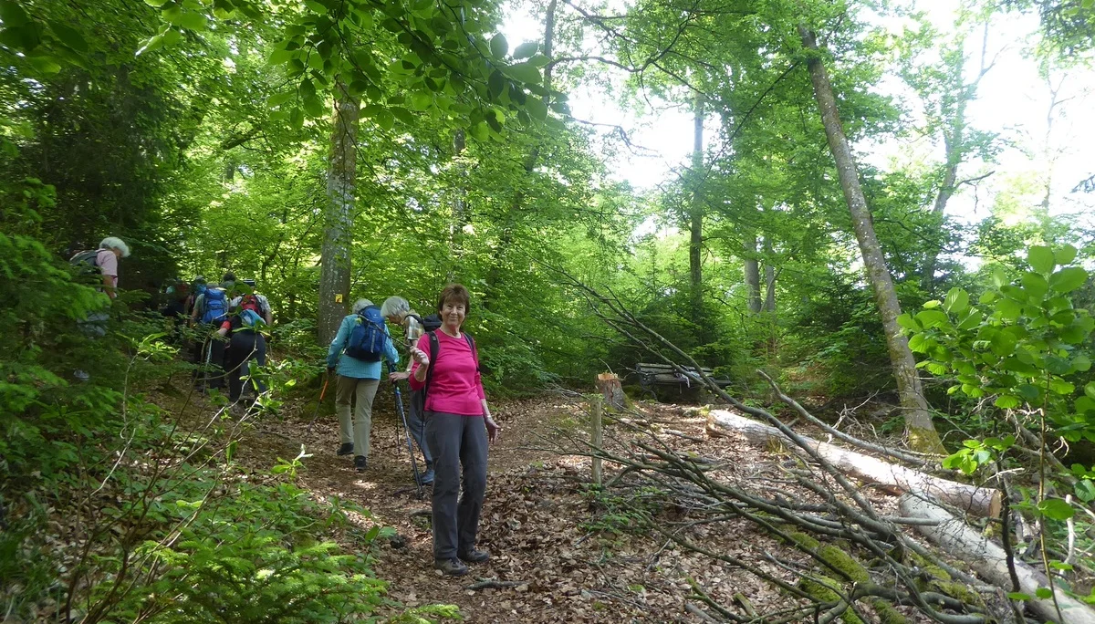 © Werner & Inge Fessel