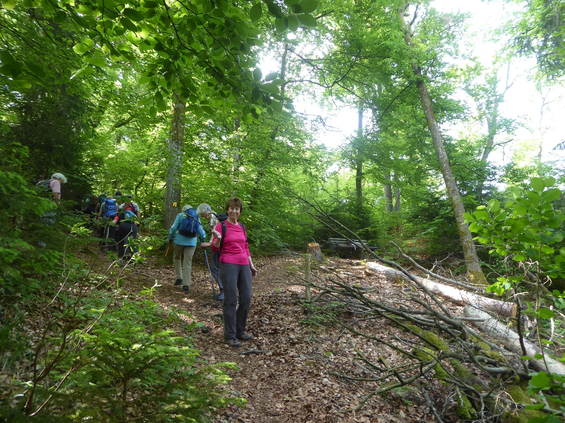 © Werner & Inge Fessel