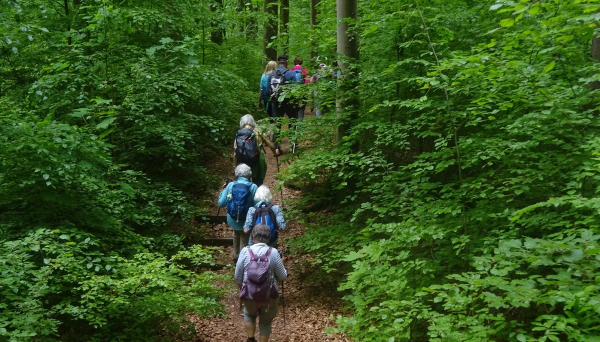 © Werner & Inge Fessel