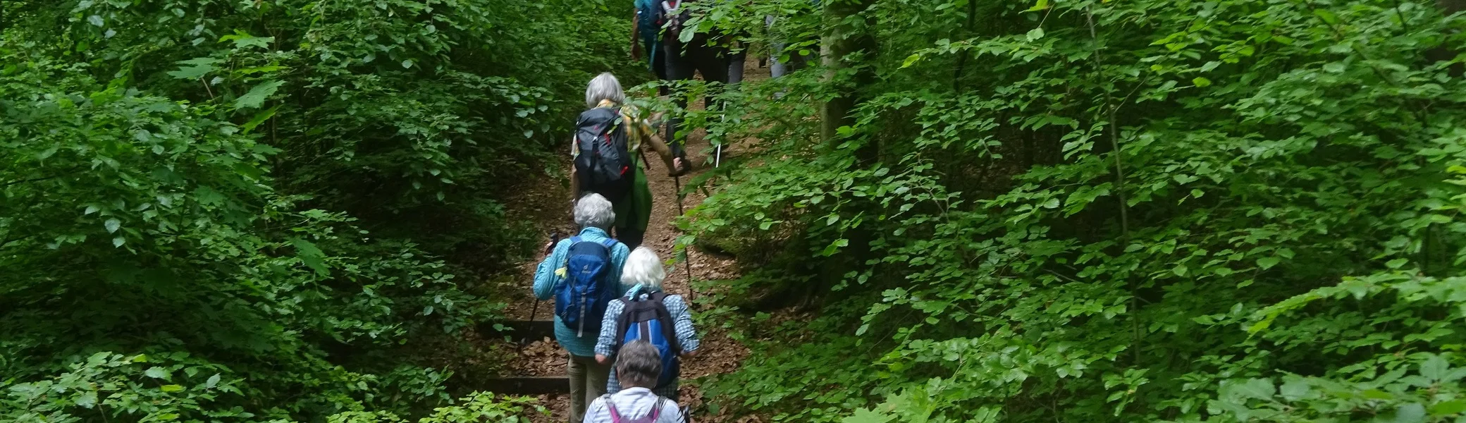 © Werner & Inge Fessel