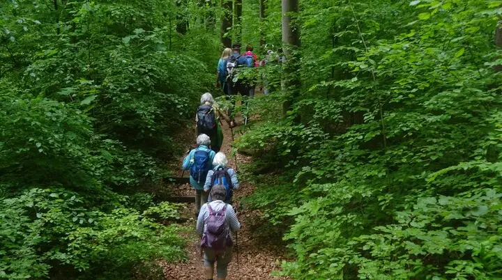 © Werner & Inge Fessel