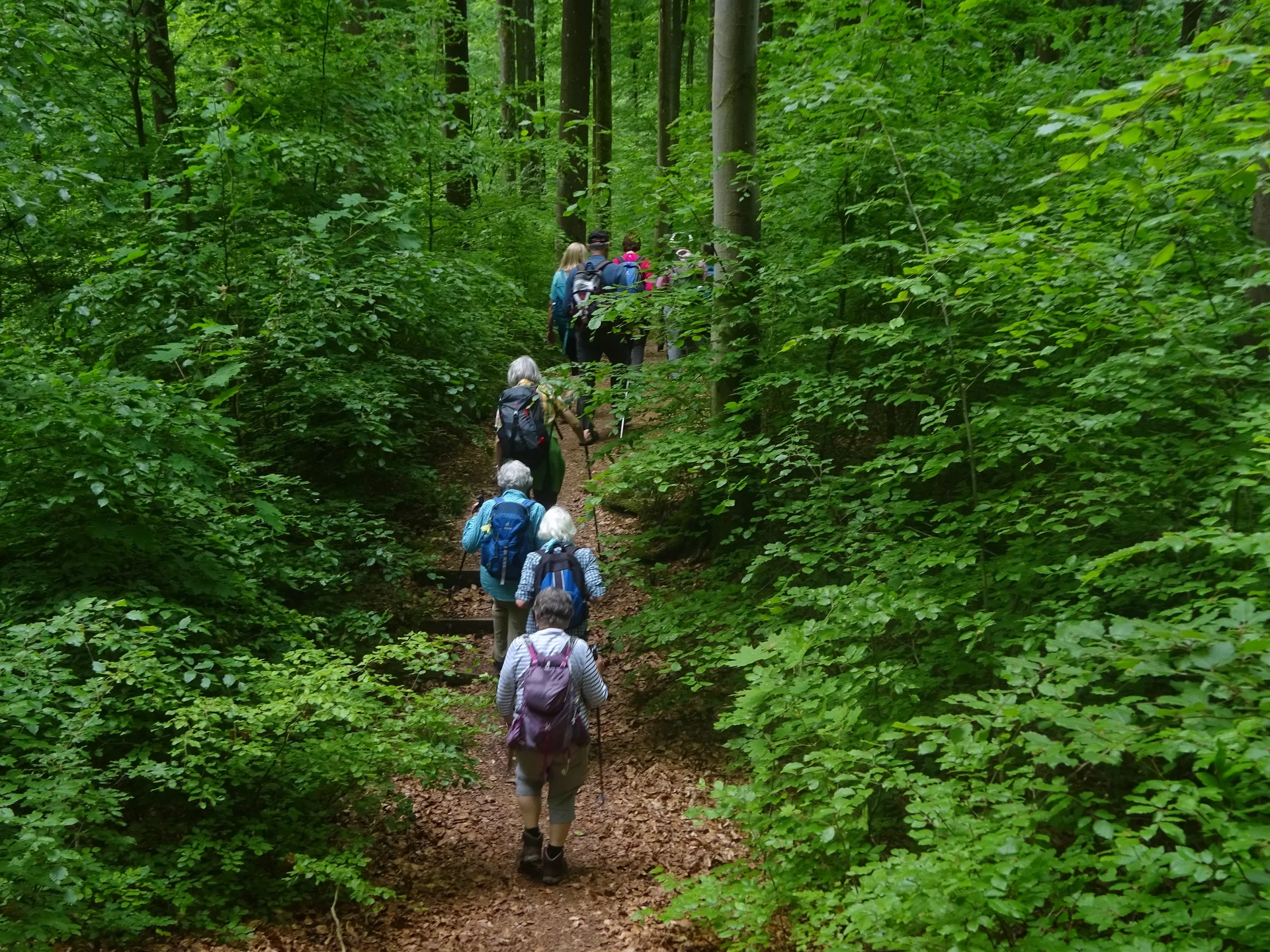 © Werner & Inge Fessel