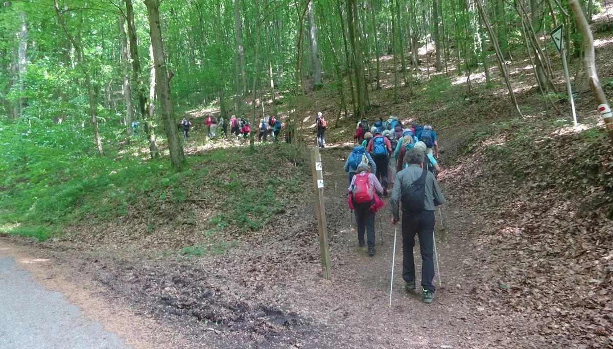 © Werner & Inge Fessel