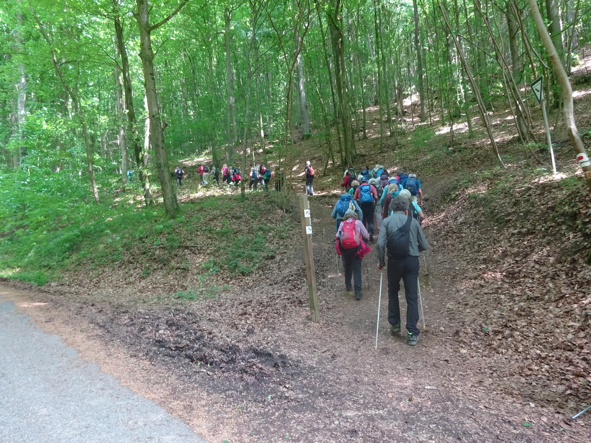 © Werner & Inge Fessel