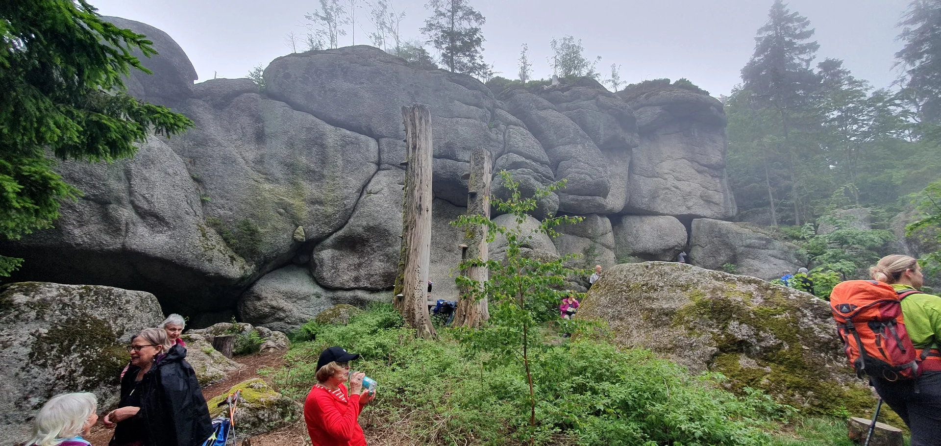 © Werner & Inge Fessel