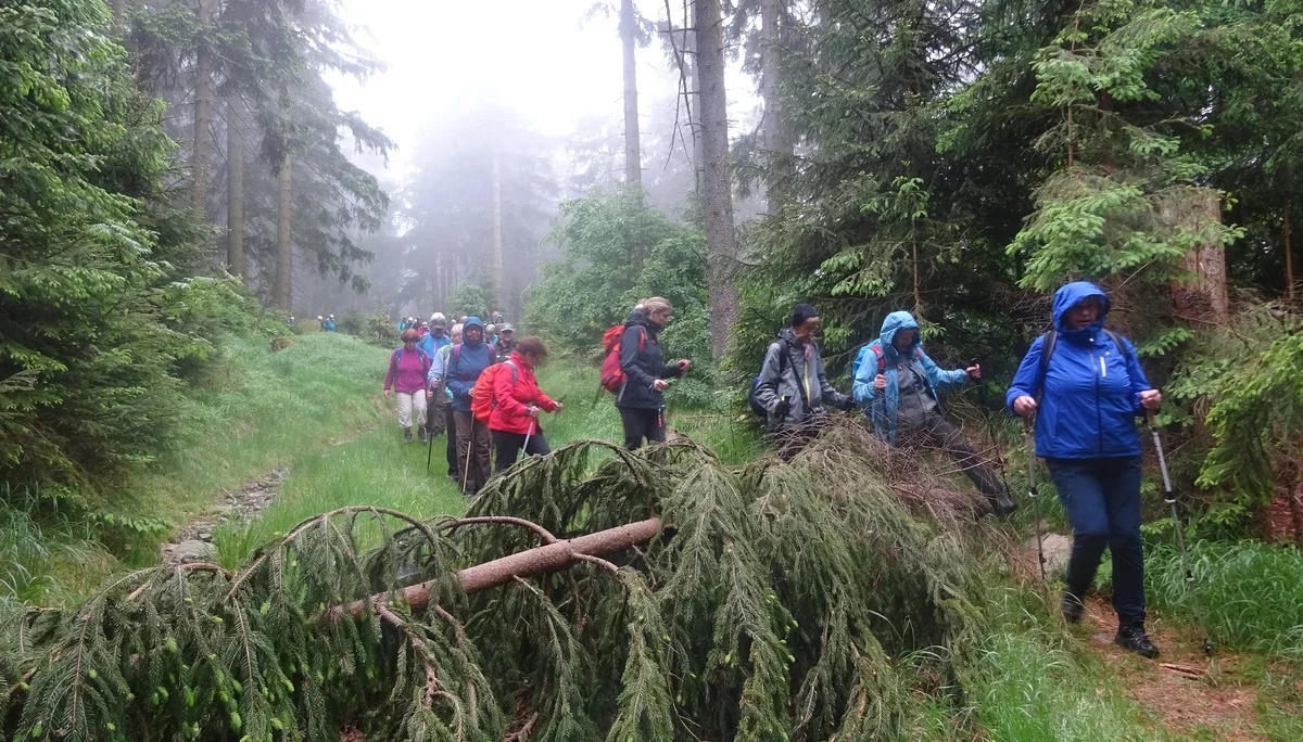 © Werner & Inge Fessel