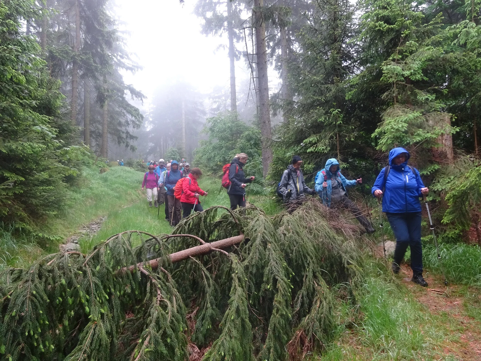 © Werner & Inge Fessel